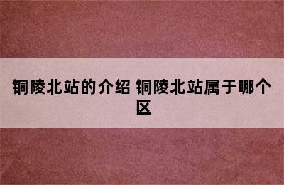 铜陵北站的介绍 铜陵北站属于哪个区